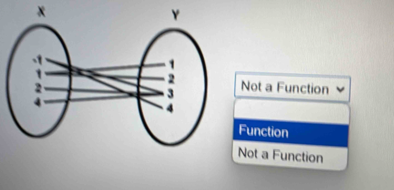 x
Not a Function
Function
Not a Function