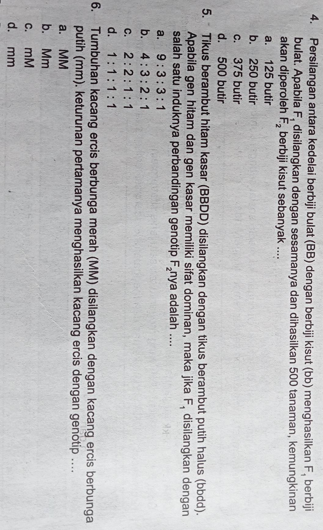Persilangan antara kedelai berbiji bulat (BB) dengan berbiji kisut (bb) menghasilkan F_1 berbiji
bulat. Apabila F_1 disilangkan dengan sesamanya dan dihasilkan 500 tanaman, kemungkinan
akan diperoleh F_2 berbiji kisut sebanyak ....
a. 125 butir
b. 250 butir
c. 375 butir
d. 500 butir
5. Tikus berambut hitam kasar (BBDD) disilangkan dengan tikus berambut putih halus (bbdd).
Apabila gen hitam dan gen kasar memiliki sifat dominan, maka jika F_1 disilangkan dengan
salah satu induknya perbandingan genotip F_2 nya adalah ....
a. 9:3:3:1
b. 4:3:2:1
C. 2:2:1:1
d. 1:1:1:1
6. Tumbuhan kacang ercis berbunga merah (MM) disilangkan dengan kacang ercis berbunga
putih (mm). keturunan pertamanya menghasilkan kacang ercis dengan genotip ....
a. MM
b. Mm
c. mM
d. mm