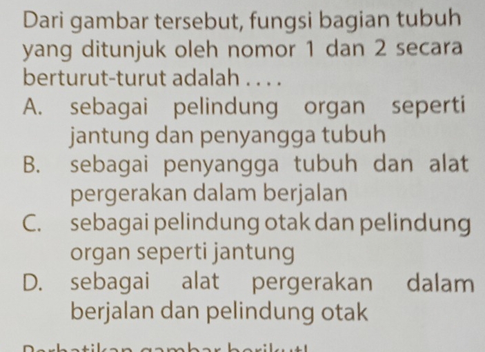 Dari gambar tersebut, fungsi bagian tubuh
yang ditunjuk oleh nomor 1 dan 2 secara
berturut-turut adalah . . . .
A. sebagai pelindung organ seperti
jantung dan penyangga tubuh
B. sebagai penyangga tubuh dan alat
pergerakan dalam berjalan
C. sebagai pelindung otak dan pelindung
organ seperti jantung
D. sebagai alat pergerakan dalam
berjalan dan pelindung otak