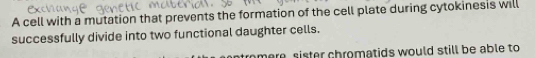 A cell with a mutation that prevents the formation of the cell plate during cytokinesis will 
successfully divide into two functional daughter cells. 
here, sister chromatids would still be able to