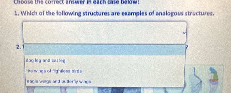 Choose the correct answer in each case below:
1. Which of the following structures are examples of analogous structures.
~
2.
P
dog leg and cat leg
the wings of flightless birds
eagle wings and butterfly wings