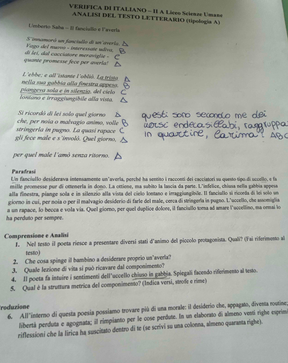 VERIFICA DI ITALIANO - II A Liceo Scienze Umane
ANALISI DEL TESTO LETTERARIO (tipologia A)
Umberto Saba - Il fanciullo e l’averla
S' linnamorò un fanciullo di un'averla.
Vago del nuovo - interessate udiva,
di lei, dal cacciatore meraviglie -
quante promesse fece per averla!
L’ebbe; e all’istante l’obliò. La trista
nella sua gabbia alla finestra appesa,
piangeva sola e in silenzio, del cielo
lontano e irraggiungibile alla vista.
Si ricordò di lei solo quel giorno
che, per noia o malvagio animo, volle
stringerla in pugno. La quasi rapace
gli fece male e s’involò. Quel giorno,
per quel male l'amò senza ritorno.
Parafrasi
Un fanciullo desiderava intensamente un’averla, perché ha sentito i racconti dei cacciatori su questo tipo di uccello, e fa
mille promesse pur di ottenerla in dono. La ottiene, ma subito la lascia da parte. L’infelice, chiusa nella gabbia appesa
alla finestra, piange sola e in silenzio alla vista del cielo lontano e irraggiungibile. Il fanciullo si ricorda di lei solo un
giorno in cui, per noia o per il malvagio desiderio di farle del male, cerca di stringerla in pugno. L’uccello, che assomiglia
a un rapace, lo becca e vola via. Quel giorno, per quel duplice dolore, il fanciullo torna ad amare l’uccellino, ma ormai lo
ha perduto per sempre.
Comprensione e Analisi
1. Nel testo il poeta riesce a presentare diversi stati d’animo del piccolo protagonista. Quali? (Fai riferimento al
testo)
2. Che cosa spinge il bambino a desiderare proprio un' averla?
3. Quale lezione di vita si può ricavare dal componimento?
4. Il poeta fa intuire i sentimenti dell’uccello chiuso in gabbia. Spiegali facendo riferimento al testo.
5. Qual è la struttura metrica del componimento? (Indica versi, strofe e rime)
roduzione
6. All’interno di questa poesia possiamo trovare più di una morale: il desiderio che, appagato, diventa routine;
libertà perduta e agognata; il rimpianto per le cose perdute. In un elaborato di almeno venti righe esprimi
riflessioni che la lirica ha suscitato dentro di te (se scrivi su una colonna, almeno quaranta righe).