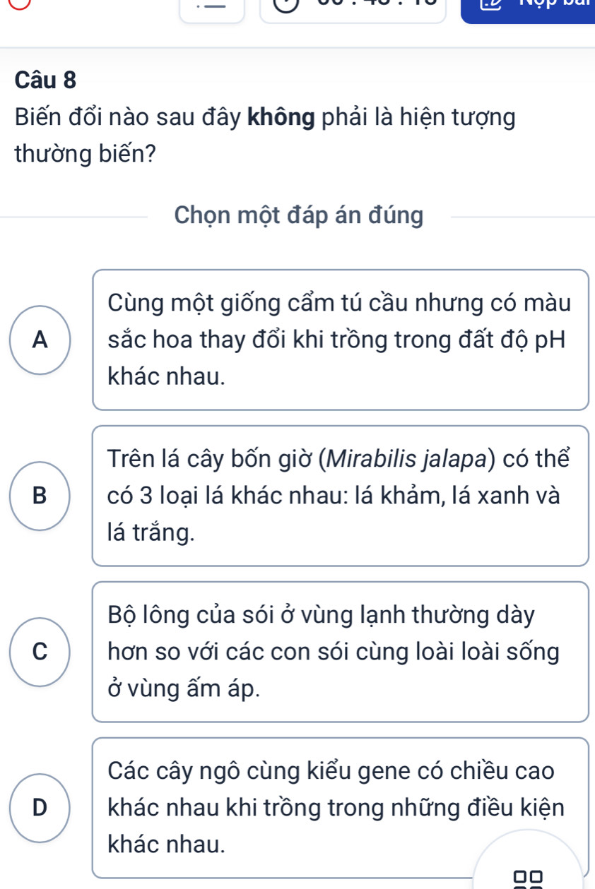 Biến đổi nào sau đây không phải là hiện tượng
thường biến?
Chọn một đáp án đúng
Cùng một giống cẩm tú cầu nhưng có màu
A sắc hoa thay đổi khi trồng trong đất độ pH
khác nhau.
Trên lá cây bốn giờ (Mirabilis jalapa) có thể
B có 3 loại lá khác nhau: lá khảm, lá xanh và
lá trắng.
Bộ lông của sói ở vùng lạnh thường dày
C hơn so với các con sói cùng loài loài sống
ở vùng ấm áp.
Các cây ngô cùng kiểu gene có chiều cao
D khác nhau khi trồng trong những điều kiện
khác nhau.
□□