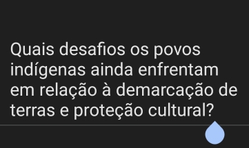 Quais desafios os povos 
indígenas ainda enfrentam 
em relação à demarcação de 
terras e proteção cultural?