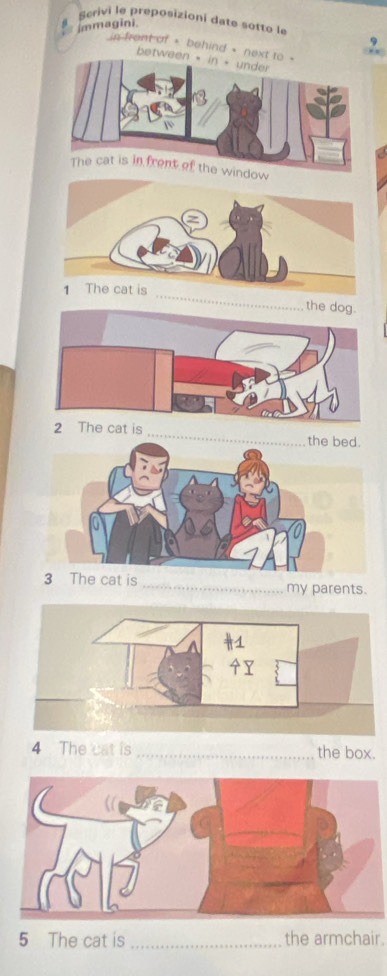 Serivi le preposizioní date sotto le 
Immagini. 
in front of * behind * next t 
between 
ow 
_ 
the 
cat is_ 
3 The cat is_ my parents. 
4 The cat is _the box. 
5 The cat is _the armchair.