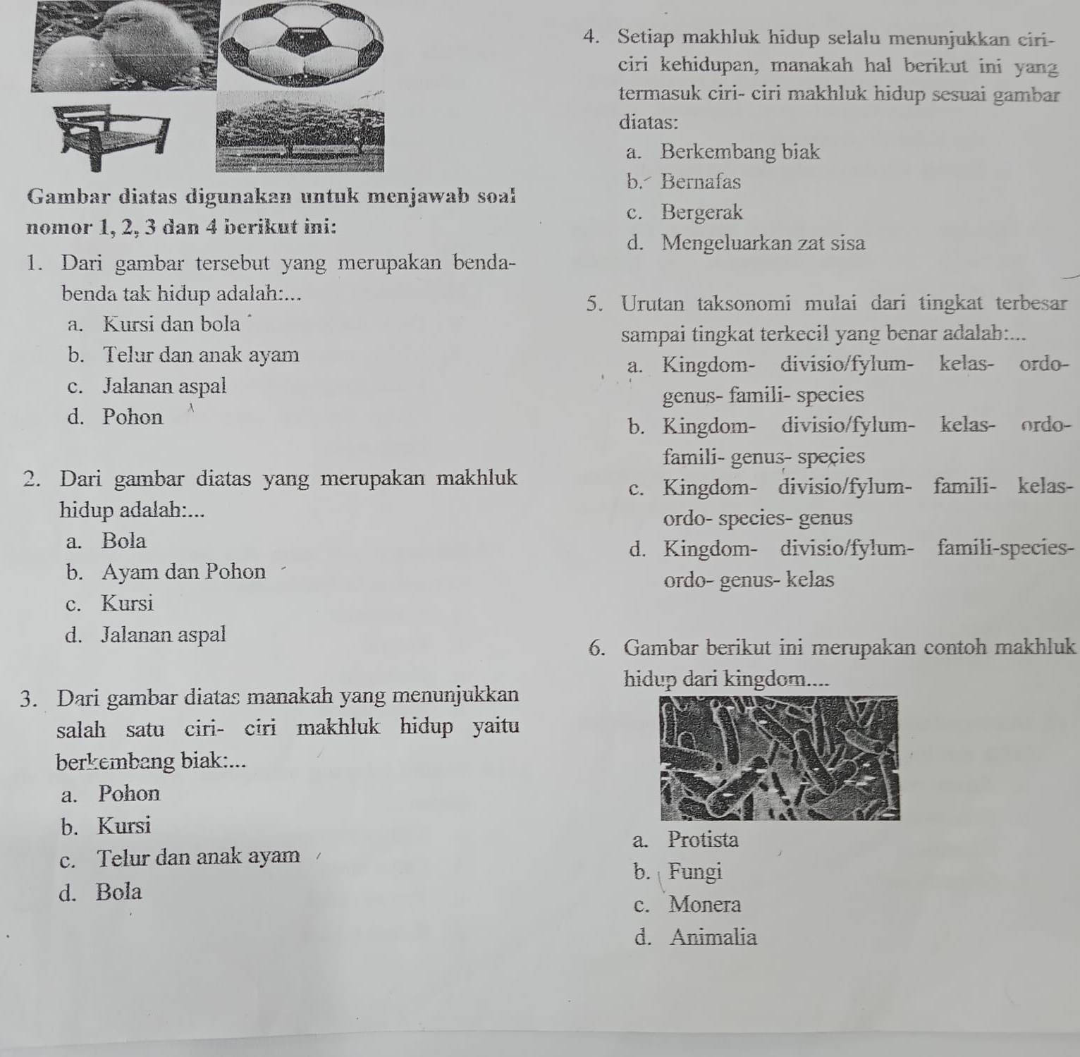 Setiap makhluk hidup selalu menunjukkan ciri-
ciri kehidupan, manakah hal berikut ini yang
termasuk ciri- ciri makhluk hidup sesuai gambar
diatas:
a. Berkembang biak
b. Bernafas
Gambdiatas digunakan untwab soal
c. Bergerak
nomor 1, 2, 3 dan 4 berikut ini:
d. Mengeluarkan zat sisa
1. Dari gambar tersebut yang merupakan benda-
benda tak hidup adalah:...
5. Urutan taksonomi mulai dari tingkat terbesar
a. Kursi dan bola
sampai tingkat terkecil yang benar adalah:...
b. Telur dan anak ayam
a. Kingdom- divisio/fylum- kelas- ordo-
c. Jalanan aspal
genus- famili- species
d. Pohon
b. Kingdom- divisio/fylum- kelas- ordo-
famili- genus- speçies
2. Dari gambar diatas yang merupakan makhluk
c. Kingdom- divisio/fylum- famili- kelas-
hidup adalah:...
ordo- species- genus
a. Bola
d. Kingdom- divisio/fylum- famili-species-
b. Ayam dan Pohon
ordo- genus- kelas
c. Kursi
d. Jalanan aspal
6. Gambar berikut ini merupakan contoh makhluk
hidup dari kingdom....
3. Dari gambar diatas manakah yang menunjukkan
salah satu ciri- ciri makhluk hidup yaitu
berkembang biak:...
a. Pohon
b. Kursi
a. Protista
c. Telur dan anak ayam
b. Fungi
d. Bola
c. Monera
d. Animalia