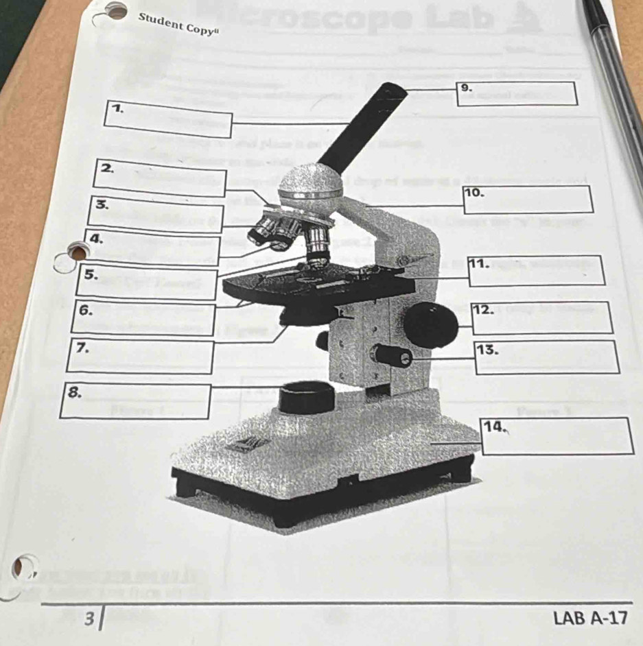 Student Copy' 
3 
LAB A -17