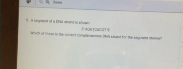 Zoom 
5. A segment of a DNA strand is shown.
3° AGGTCAGGT 5 ' 
Which of these is the correct complementary DNA strand for the segment shown?