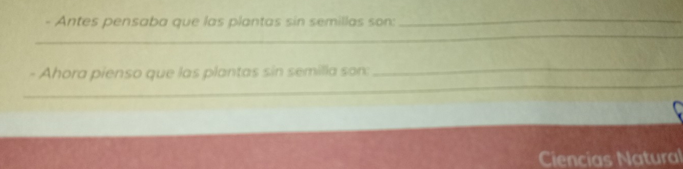 Antes pensaba que las plantas sin semillas son:_ 
_ 
- Ahora pienso que las plantas sin semilla son: 
_ 
_ 
_ 
Ciencias Natural