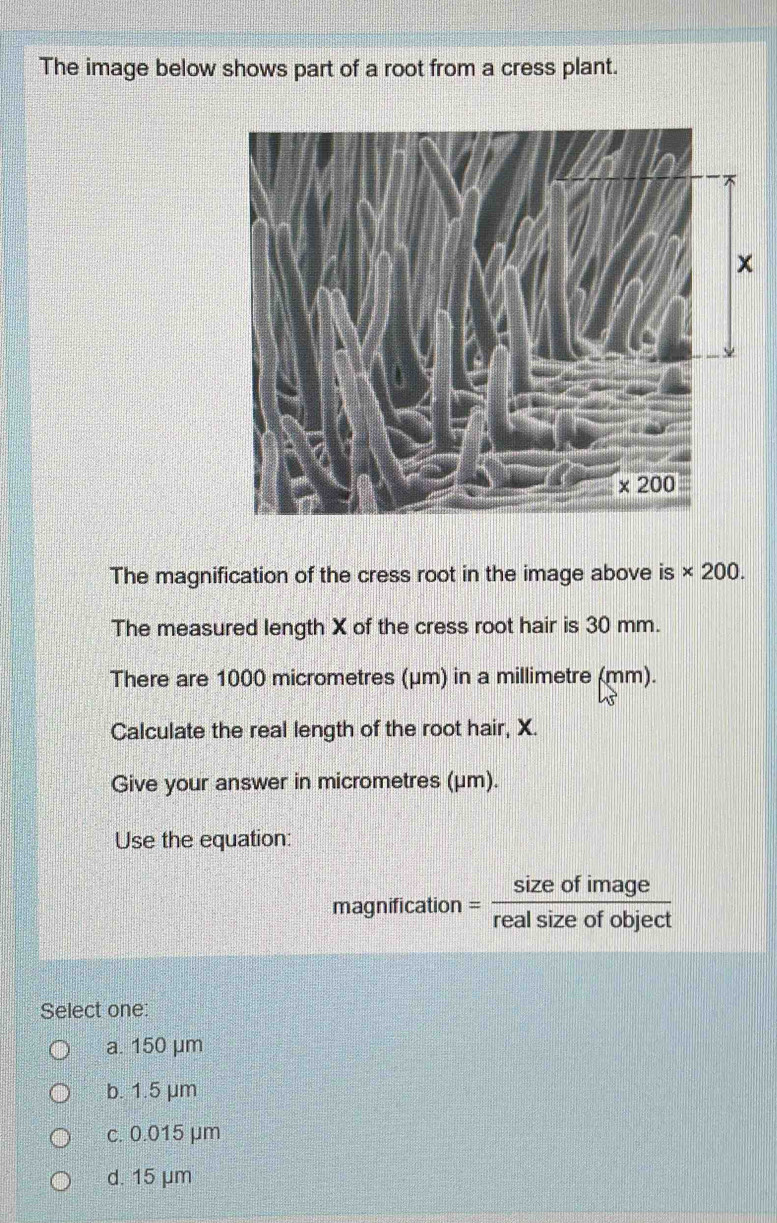 Solved: The image below shows part of a root from a cress plant. The ...