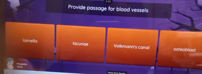 Provide passage for blood vessels
lamella lacunae Volkmann's canal osteoblast