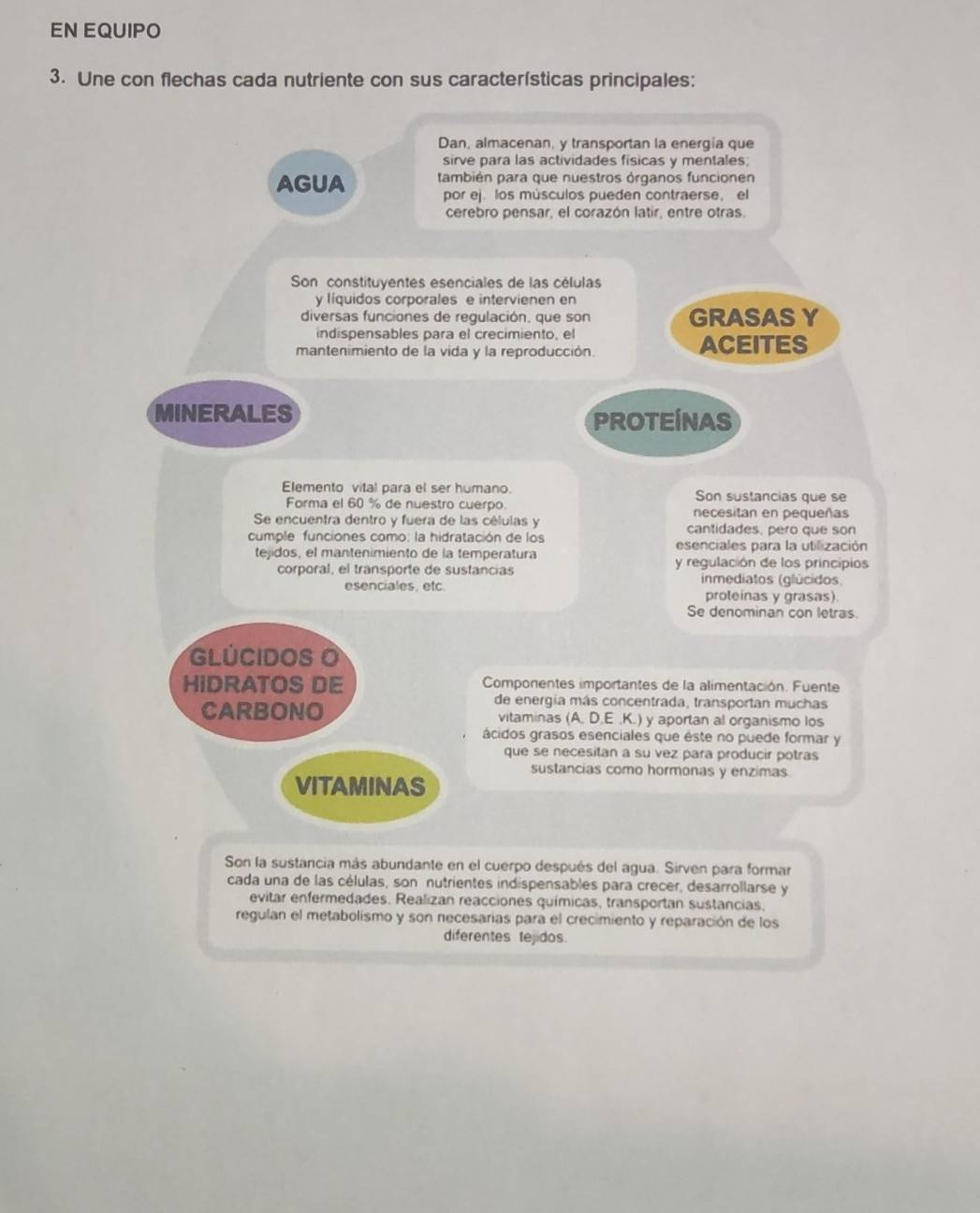 EN EQUIPO
3. Une con flechas cada nutriente con sus características principales:
Dan, almacenan, y transportan la energia que
sirve para las actividades físicas y mentales;
AGUA también para que nuestros órganos funcionen
por ej. los músculos pueden contraerse, el
cerebro pensar, el corazón latir, entre otras.
Son constituyentes esenciales de las células
y liquidos corporales e intervienen en
diversas funciones de regulación, que son GRASAS Y
indispensables para el crecimiento, el
mantenimiento de la vida y la reproducción. ACEITES
MINERALES
PROTEINAS
Elemento vital para el ser humano. Son sustancias que se
Forma el 60 % de nuestro cuerpo. necesitan en pequeñas
Se encuentra dentro y fuera de las células y cantidades, pero que son
cumple funciones como: la hidratación de los esenciales para la utilización
tejidos, el mantenimiento de la temperatura y regulación de los principios
corporal, el transporte de sustancias inmediatos (glúcidos
esenciales, etc. proleinas y grasas).
Se denominan con letras.
GLÚCIDOS O
HIDRATOS DE Componentes importantes de la alimentación. Fuente
de energia más concentrada, transportan muchas
CARBONO vitaminas (A, D,E ,K.) y aportan al organismo los
ácidos grasos esenciales que éste no puede formar y
que se necesitan a su vez para producir potras
sustancias como hormonas y enzimas
VITAMINAS
Son la sustancia más abundante en el cuerpo después del agua. Sirven para formar
cada una de las células, son nutrientes indispensables para crecer, desarrollarse y
evitar enfermedades. Realizan reacciones químicas, transportan sustancias,
regulan el metabolismo y son necesarias para el crecimiento y reparación de los
diferentes tejidos.