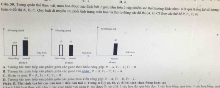 3. D. 4.
Câu 30, Trong quần thể thực vật, màu hoa được xác định bởi 2 gen nằm trên 2 cặp nhiễm sắc thể thường khác nhau. Kết quả thống kê số lượng ở
hiện ở đồ thị A, B, C. Quy luật di truyền chi phối tinh trạng màu hoa và thứ tự đúng các đồ thị (A, B, C) theo các thể hệ P_1F_1, F_2 là
A. Tương tác trực tiếp sân phẩm giữa các gene theo kiểu cộng gộp. P-A; F_1-C; F_2-B
B. Tương tác gián tiếp sản phẩm giữa các gene với nhạu P-B; F_1-C; F_2-A.
C. Hoản vị gen P-A; F_1-C; F_2-B.
D. Tương tác trực tiếp sản phẩm giữa các gene theo kiểu công gộp: P-A; F_1-B; F_2-C. 
Phần II. Thí sinh trả lời các cầu hỏi 1 đến cầu hỏi 4. Trong môi y^2a),b),c),d) thí sinh chọn đúng hoặc sai.
Cân 1 Một loài thực vật, cho 2 cây giao phần với nhau P. thu được F_1cot θ :1 cây hoa đó, quá bầu dục: 1 cây hoa hồng, quả tròn: 1 cây hoa hồng, quả