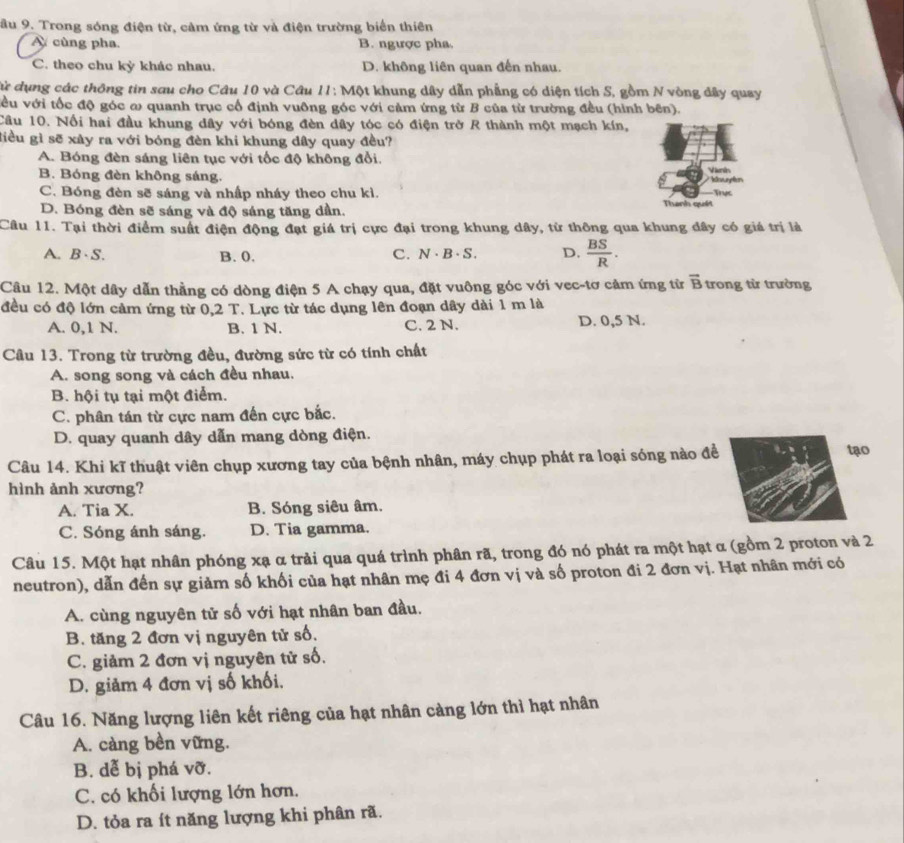 ầu 9. Trong sóng điện từ, cảm ứng từ và điện trường biển thiên
A cùng pha. B. ngược pha.
C. theo chu kỳ khác nhau. D. không liên quan đến nhau.
Cừ dụng các thông tin sau cho Câu 10 và Câu 11: Một khung dây dẫn phẳng có diện tích S, gồm N vòng dây quay
vều với tốc độ góc ω quanh trục cổ định vuông góc với cảm ứng từ B của từ trường đều (hình bên).
Câu 10. Nổi hai đầu khung dây với bóng đèn dây tóc có điện trở R thành một mạch kín,
điều gì sẽ xảy ra với bóng đèn khi khung dây quay đều?
A. Bóng đèn sáng liên tục với tốc độ không đổi. Vri
B. Bóng đèn không sáng. Trực
C. Bóng đèn sẽ sáng và nhấp nháy theo chu kì. Thanh quét
D. Bóng đèn sẽ sáng và độ sáng tăng dần.
Câu 11. Tại thời điểm suất điện động đạt giá trị cực đại trong khung dây, từ thông qua khung dây có giá trị là
A. B · S. B. 0. C. N · B· S. D.  BS/R .
Câu 12. Một dây dẫn thằng có dòng điện 5 A chạy qua, đặt vuông góc với vec-tơ cảm ứng từ vector B trong từ trường
đều có độ lớn cảm ứng từ 0,2 T. Lực từ tác dụng lên đoạn dây dài 1 m là
A. 0,1 N. B. 1 N. C. 2 N. D. 0,5 N.
Câu 13. Trong từ trường đều, đường sức từ có tính chất
A. song song và cách đều nhau.
B. hội tụ tại một điểm.
C. phân tán từ cực nam đến cực bắc.
D. quay quanh dây dẫn mang dòng điện.
Câu 14. Khi kĩ thuật viên chụp xương tay của bệnh nhân, máy chụp phát ra loại sóng nào đề
tạo
hình ảnh xương?
A. Tia X. B. Sóng siêu âm.
C. Sóng ánh sáng. D. Tia gamma.
Câu 15. Một hạt nhân phóng xạ α trải qua quá trình phân rã, trong đó nó phát ra một hạt α (gồm 2 proton và 2
neutron), dẫn đến sự giảm số khối của hạt nhân mẹ đi 4 đơn vị và số proton đi 2 đơn vị. Hạt nhân mới có
A. cùng nguyên tử số với hạt nhân ban đầu.
B. tăng 2 đơn vị nguyên tử số.
C. giảm 2 đơn vị nguyên tử số.
D. giảm 4 đơn vị số khối.
Câu 16. Năng lượng liên kết riêng của hạt nhân càng lớn thì hạt nhân
A. càng bền vững.
B. dễ bị phá vỡ.
C. có khối lượng lớn hơn.
D. tỏa ra ít năng lượng khi phân rã.