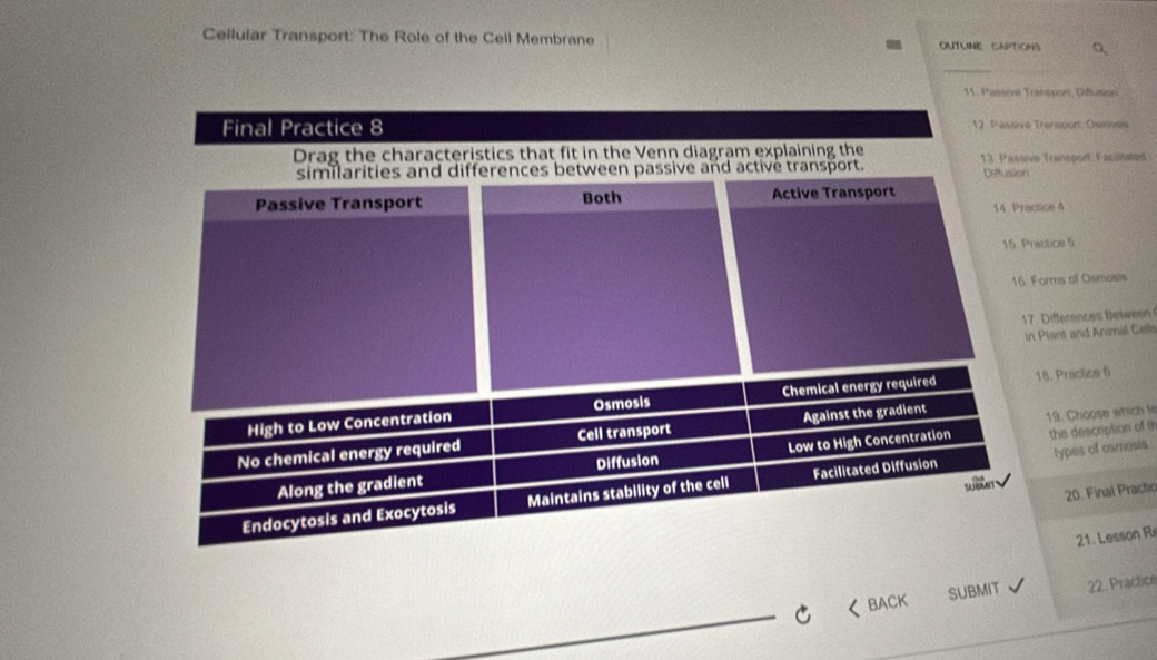 Cellular Transport: The Role of the Cell Membrane OUTLINE CAPTIONS 
_ 
11. Passore Transport, Diffusion 
Transpor: Osmosis 
a Transport. Facilitated 
tice 4 
éctice 5 
orms of Osmosis 
. Differences etee 
Plant and Animal Celle 
18. Practice 6 
19. Choose which le 
the description of th 
types of osmosis. 
20. Final Practic 
21. Lesson R 
_ 
C < BACK SUBMIT 22. Practice