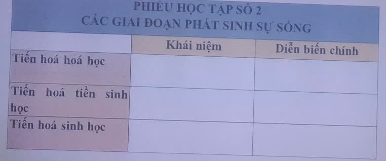 PHIEU HỌC TậP SÓ 2
các gi