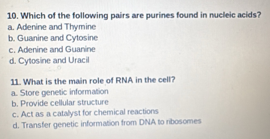 Which of the following pairs are purines found in nucleic acids?
a. Adenine and Thymine
b. Guanine and Cytosine
c. Adenine and Guanine
d. Cytosine and Uracil
11. What is the main role of RNA in the cell?
a. Store genetic information
b. Provide cellular structure
c. Act as a catalyst for chemical reactions
d. Transfer genetic information from DNA to ribosomes