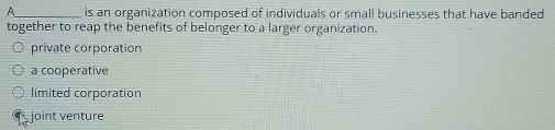 A_ is an organization composed of individuals or small businesses that have banded
together to reap the benefits of belonger to a larger organization.
private corporation
a cooperative
limited corporation
joint venture