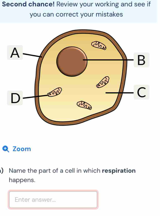 Second chance! Review your working and see if 
you can correct your mistakes 
Zoom 
) Name the part of a cell in which respiration 
happens. 
Enter answer...