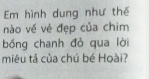 Em hình dung như thế 
nào về vẻ đẹp của chim 
bồng chanh đỏ qua lời 
miêu tả của chú bé Hoài?