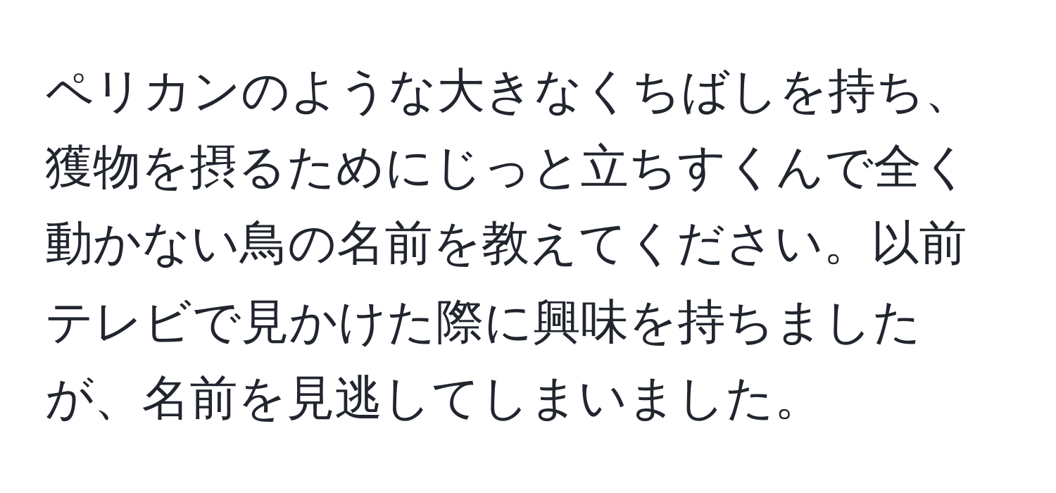 ペリカンのような大きなくちばしを持ち、獲物を摂るためにじっと立ちすくんで全く動かない鳥の名前を教えてください。以前テレビで見かけた際に興味を持ちましたが、名前を見逃してしまいました。