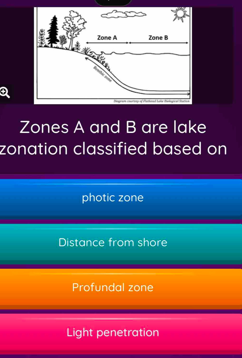 ④
Zones A and B are lake
zonation classified based on
photic zone
Distance from shore
Profundal zone
Light penetration