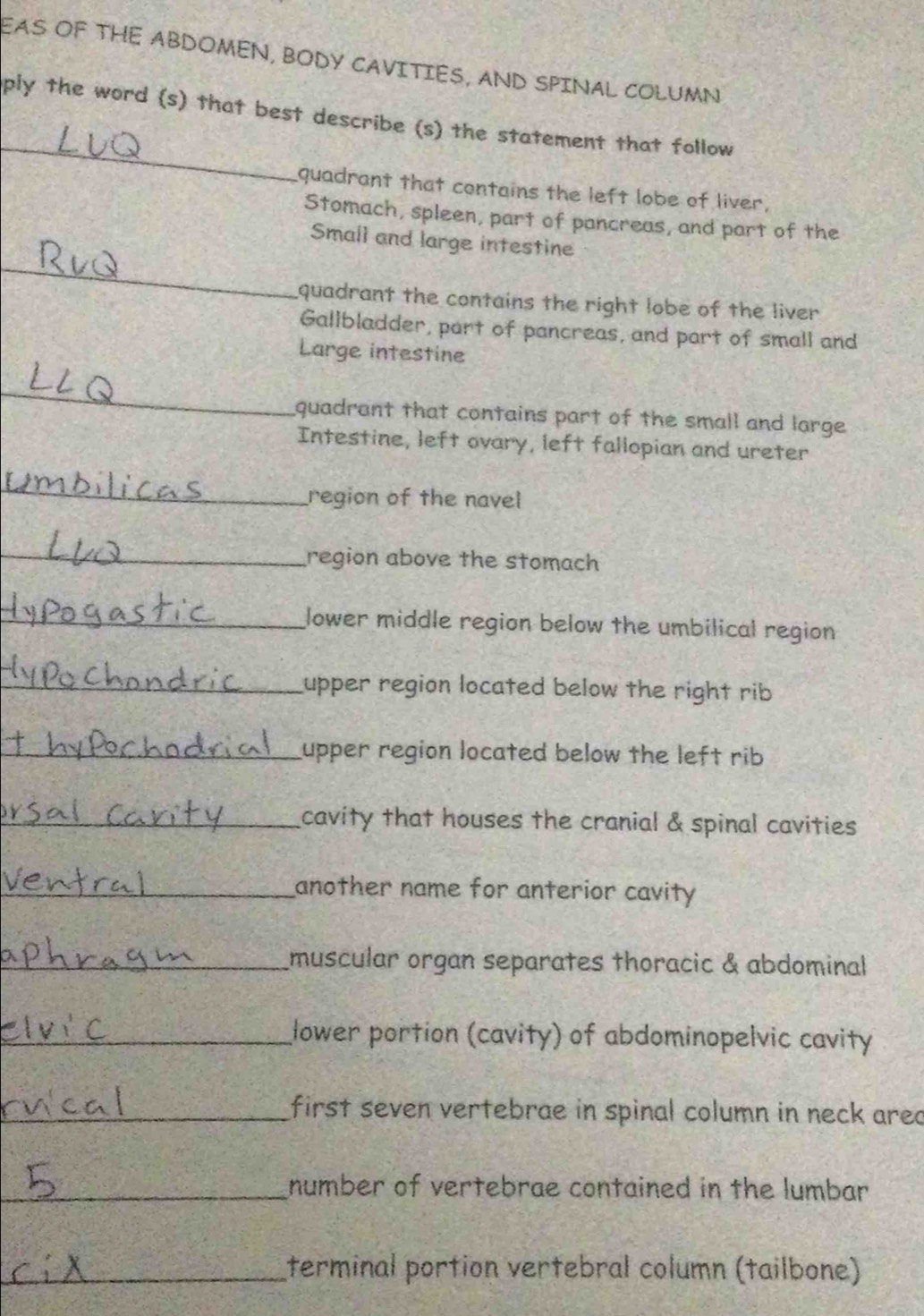 EAS OF THE ABDOMEN, BODY CAVITIES, AND SPINAL COLUMN 
_ 
ply the word (s) that best describe (s) the statement that follow 
quadrant that contains the left lobe of liver, 
Stomach, spleen, part of pancreas, and part of the 
_ 
Small and large intestine 
quadrant the contains the right lobe of the liver 
Gallbladder, part of pancreas, and part of small and 
Large intestine 
_ 
quadrant that contains part of the small and large 
Intestine, left ovary, left fallopian and ureter 
_ 
region of the navel 
_region above the stomach 
_lower middle region below the umbilical region 
_upper region located below the right rib 
_upper region located below the left rib 
_cavity that houses the cranial & spinal cavities 
_another name for anterior cavity 
_muscular organ separates thoracic & abdominal 
_lower portion (cavity) of abdominopelvic cavity 
_first seven vertebrae in spinal column in neck ared 
_number of vertebrae contained in the lumbar 
_terminal portion vertebral column (tailbone)