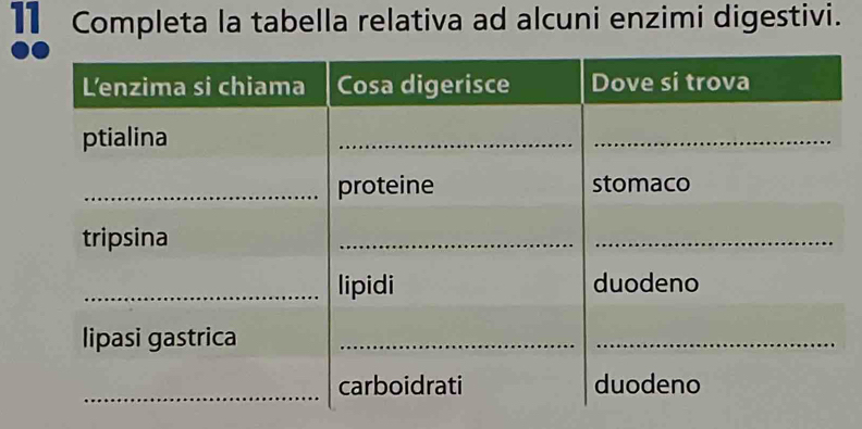 Completa la tabella relativa ad alcuni enzimi digestivi.