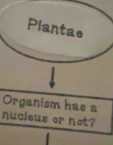 Organism has a 
nucleus or not?