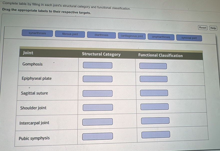 Complete table by filling in each joint's structural category and functional classification.
Drag the appropriate labels to their respective targets.
Reset Help
synarthrosis fibrous joint diarthrosis cartilaginous joint amphiarthrosis synovial joint