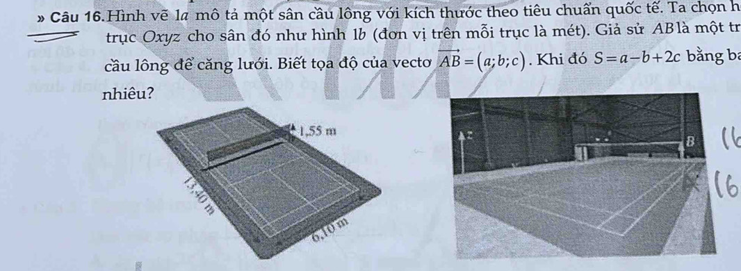 # Câu 16.Hình vẽ la mô tả một sân cầu lông với kích thước theo tiêu chuẩn quốc tế. Ta chọn h
trục Oxyz cho sân đó như hình 1b (đơn vị trên mỗi trục là mét). Giả sử ABlà một trị
cầu lông để căng lưới. Biết tọa độ của vectơ vector AB=(a;b;c). Khi đó S=a-b+2c bằng ba
nhiêu?