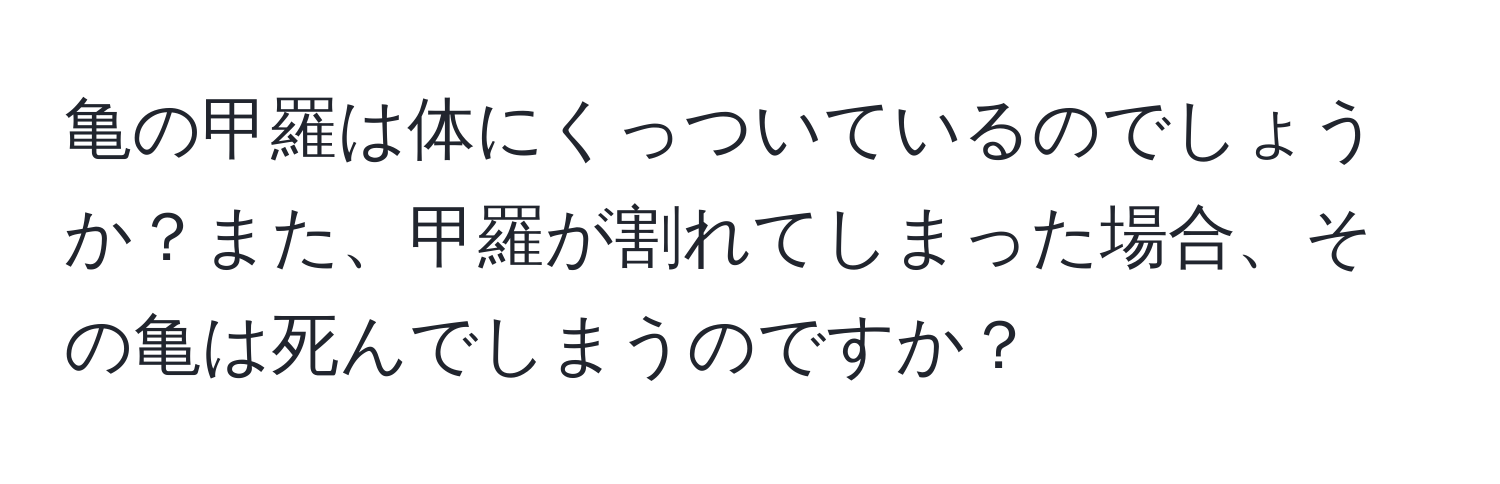 亀の甲羅は体にくっついているのでしょうか？また、甲羅が割れてしまった場合、その亀は死んでしまうのですか？