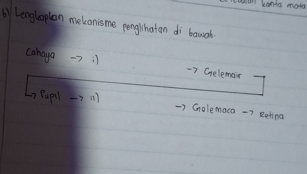 reculan kanta mota 
b) Lenglaplan mekanisme penglihatan di bawah. 
cahaya →> ) 7 Gelemair 
Pupil →> 11
Gelemaca - 7 Retina