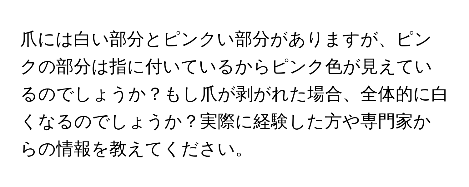 爪には白い部分とピンクい部分がありますが、ピンクの部分は指に付いているからピンク色が見えているのでしょうか？もし爪が剥がれた場合、全体的に白くなるのでしょうか？実際に経験した方や専門家からの情報を教えてください。