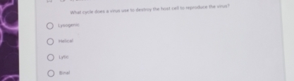 What cycle does a virus use to destroy the host cell to reproduce the virus?
Lysogenic
Helical
Lytic
Binal