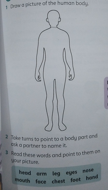 Draw a picture of the human body.
2 Take turns to point to a body part and
ask a partner to name it.
3 Read these words and point to them on
your picture.
head arm leg eyes nose
mouth face chest foot hand