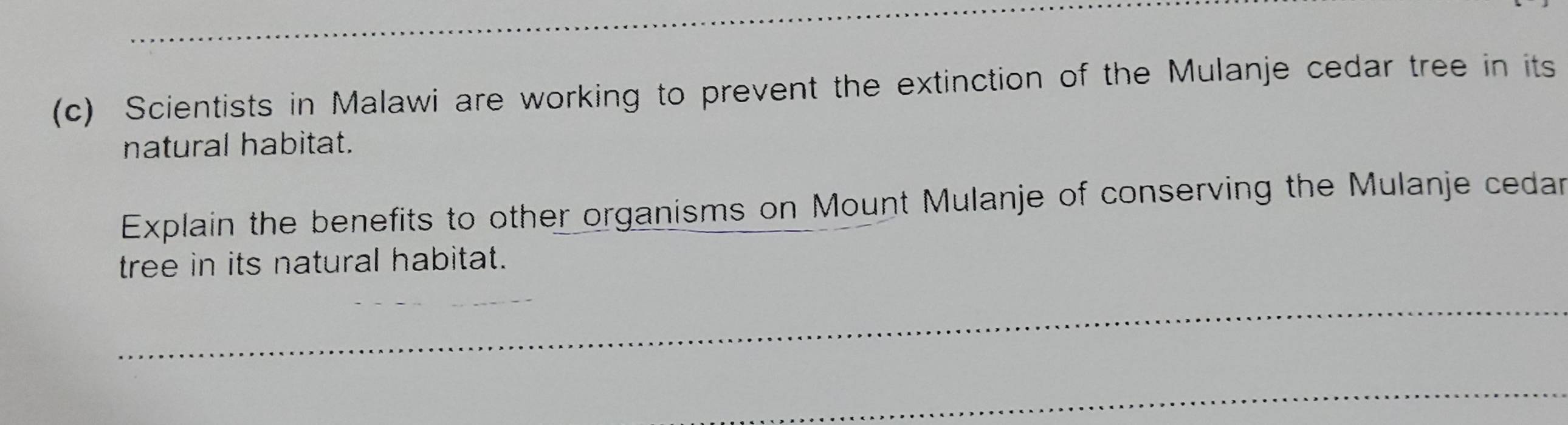 Scientists in Malawi are working to prevent the extinction of the Mulanje cedar tree in its 
natural habitat. 
Explain the benefits to other organisms on Mount Mulanje of conserving the Mulanje cedar 
tree in its natural habitat. 
_ 
_