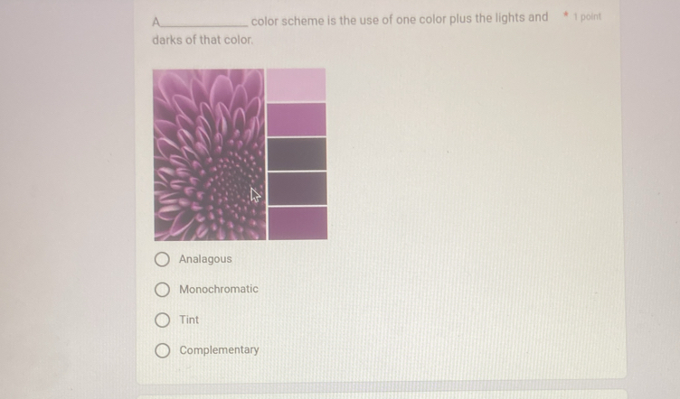 A_ color scheme is the use of one color plus the lights and 1 point
darks of that color.
Analagous
Monochromatic
Tint
Complementary