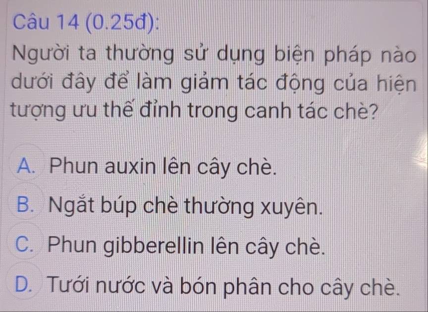 (0.25đ):
Người ta thường sử dụng biện pháp nào
dưới đây để làm giảm tác động của hiện
tượng ưu thế đỉnh trong canh tác chè?
A. Phun auxin lên cây chè.
B. Ngắt búp chè thường xuyên.
C. Phun gibberellin lên cây chè.
D. Tưới nước và bón phân cho cây chè.