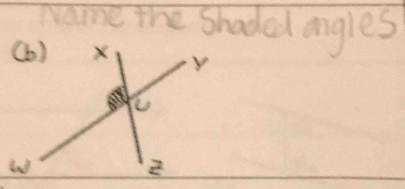 name the Shaded angles