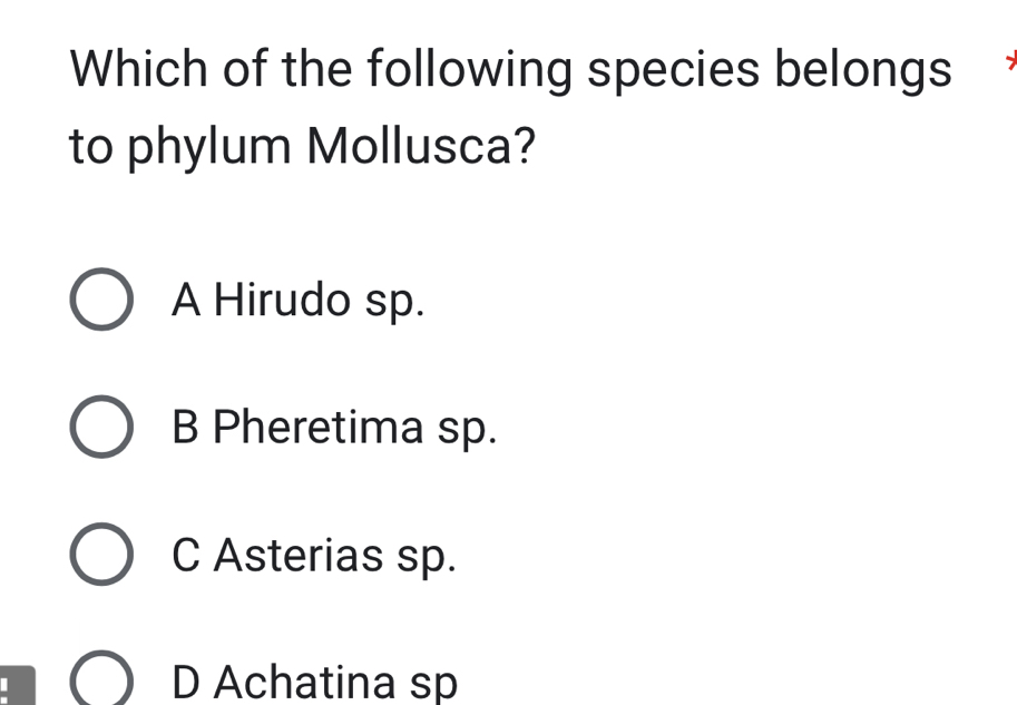 Which of the following species belongs
to phylum Mollusca?
A Hirudo sp.
B Pheretima sp.
C Asterias sp.
D Achatina sp