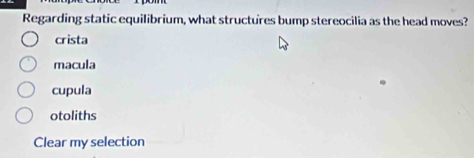 Regarding static equilibrium, what structures bump stereocilia as the head moves?
crista
macula
cupula
otoliths
Clear my selection