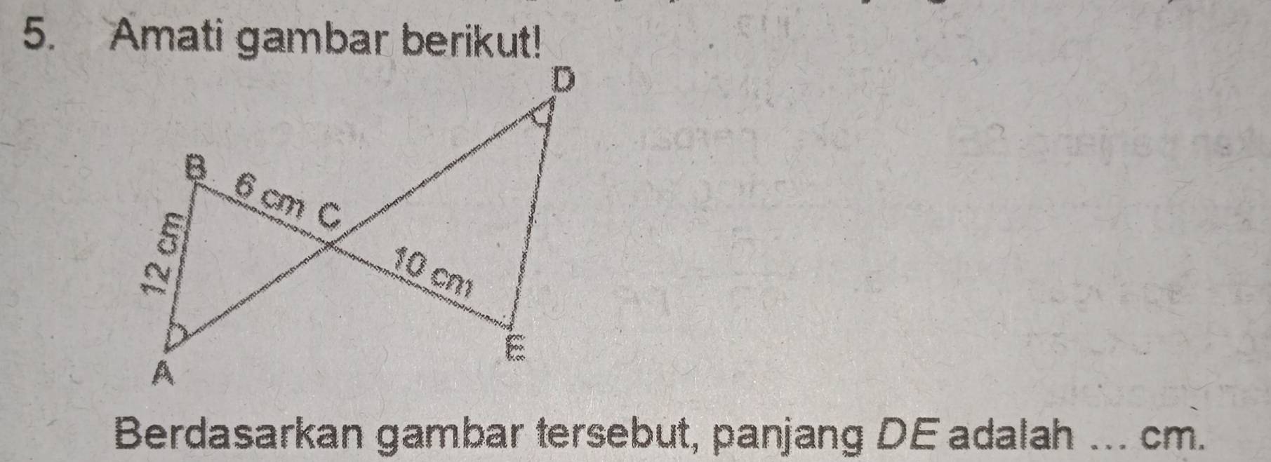 Amati gambar berikut! 
Berdasarkan gambar tersebut, panjang DEadalah _ cm.