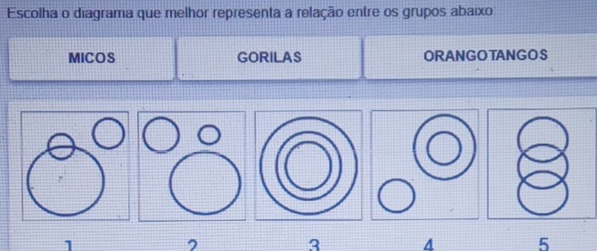 Escolha o diagrama que melhor representa a relação entre os grupos abaixo 
MICOS GORILAS ORANGOTANGOS
1
3
A
5