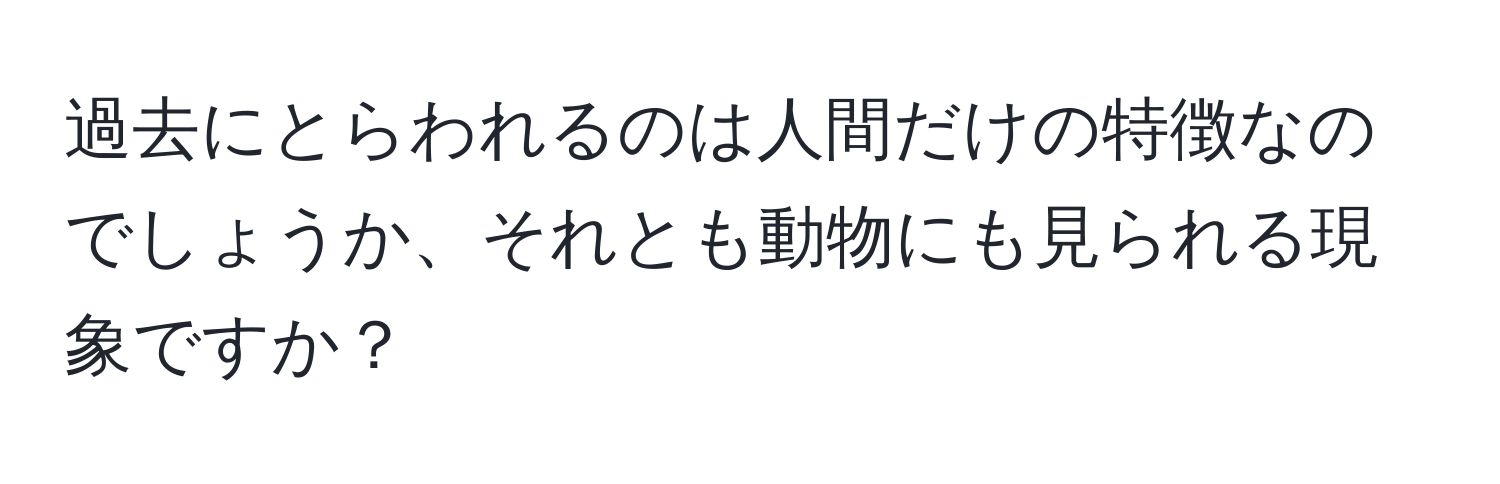 過去にとらわれるのは人間だけの特徴なのでしょうか、それとも動物にも見られる現象ですか？