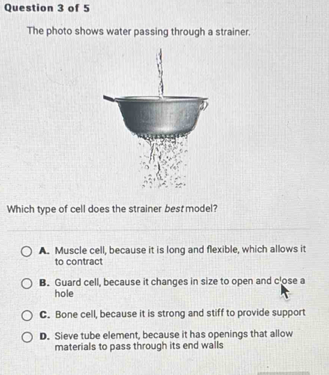 The photo shows water passing through a strainer.
Which type of cell does the strainer best model?
A. Muscle cell, because it is long and flexible, which allows it
to contract
B. Guard cell, because it changes in size to open and c'ose a
hole
C. Bone cell, because it is strong and stiff to provide support
D. Sieve tube element, because it has openings that allow
materials to pass through its end walls