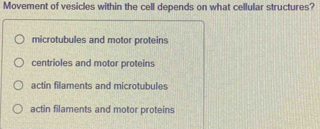 Movement of vesicles within the cell depends on what cellular structures?
microtubules and motor proteins
centrioles and motor proteins
actin filaments and microtubules
actin filaments and motor proteins