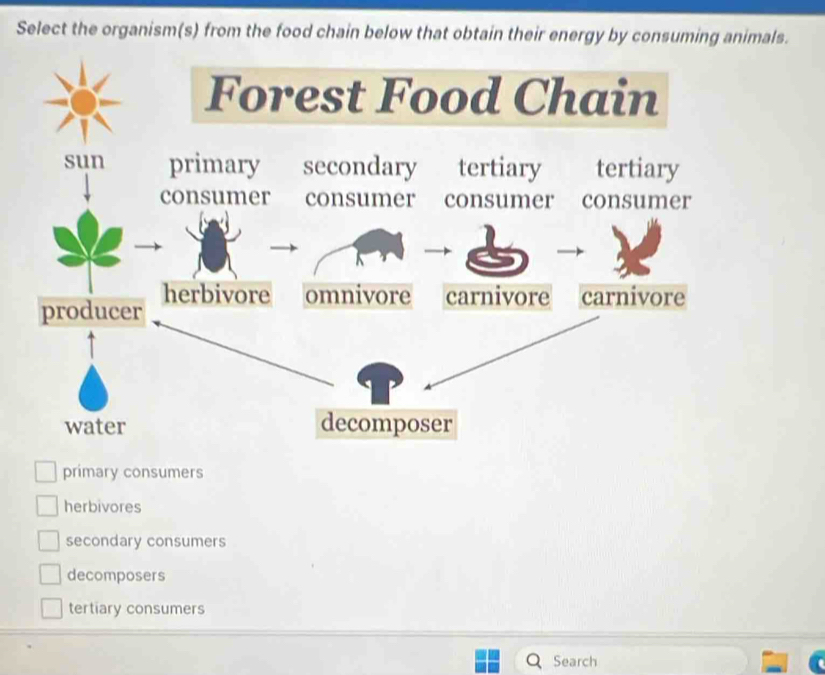 Select the organism(s) from the food chain below that obtain their energy by consuming animals.
primary consumers
herbivores
secondary consumers
decomposers
tertiary consumers
Search