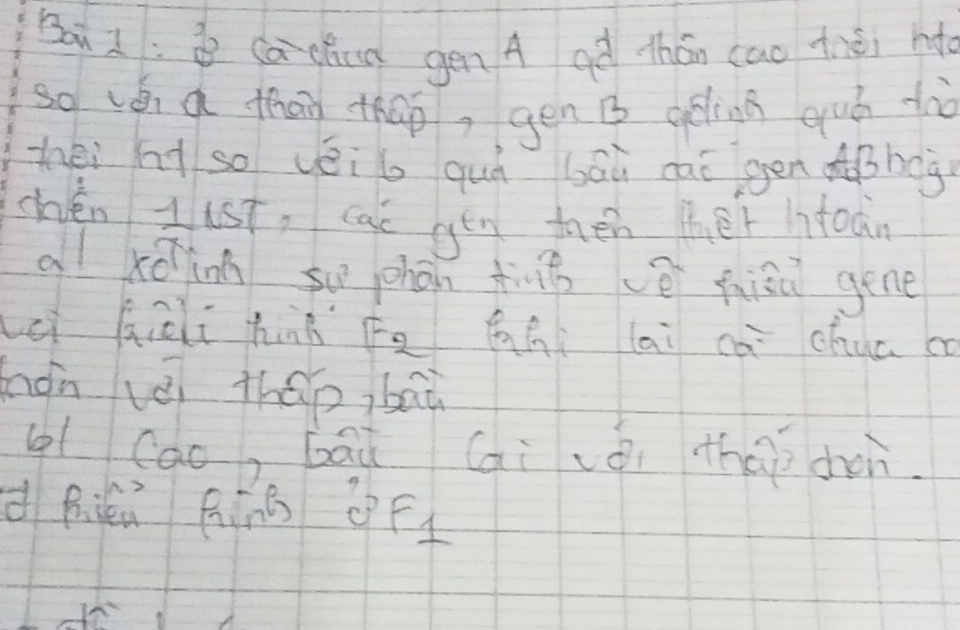 Bu 2: ca chua gén A aà thán cao thèi ho 
so vái a than thao, gén B going quó tià 
zhéi hì so véi b quú bāù cai génBbeg 
chén gust, cac gén thén ther itoān 
a xóing so phān àǒ vè hiāǔ gene 
Lei hioi hnà F àhi lai cà chua c 
hàn vèi thep, bāà 
g(ao, bāà (ai zòi thāò chon 
d Rikn AinB Ff