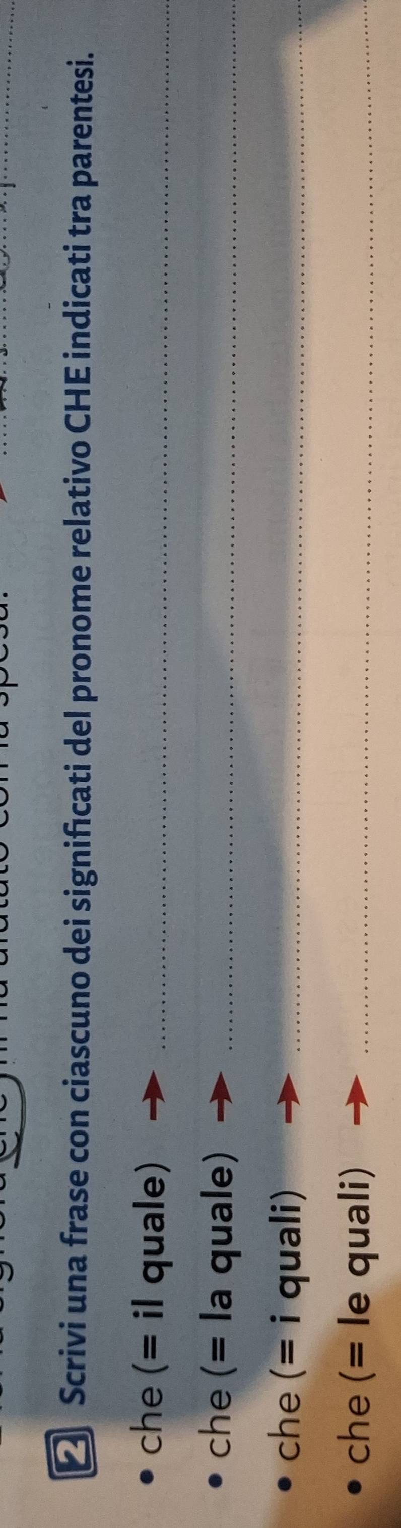 € Scrivi una frase con ciascuno dei significati del pronome relativo CHE indicati tra parentesi. 
che (= il quale)_ 
che (= la quale)_ 
che (= i quali)_ 
che (= le quali)_